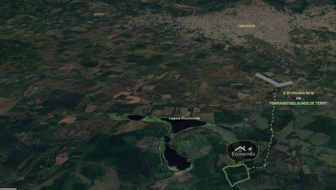 Vista aérea de la selva de Belice